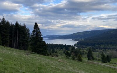 Wann fühlst du Verbundenheit? 