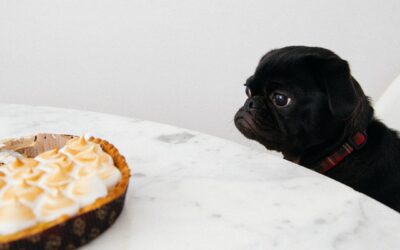 Vom Wünschen und Begehren